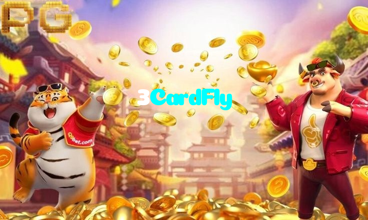 available types of 3CardFly bet including pre-match live express and system bets